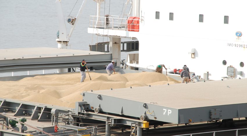 La soja quedaría excluida del impuesto a la importación La soja quedaría excluida del impuesto a la importación