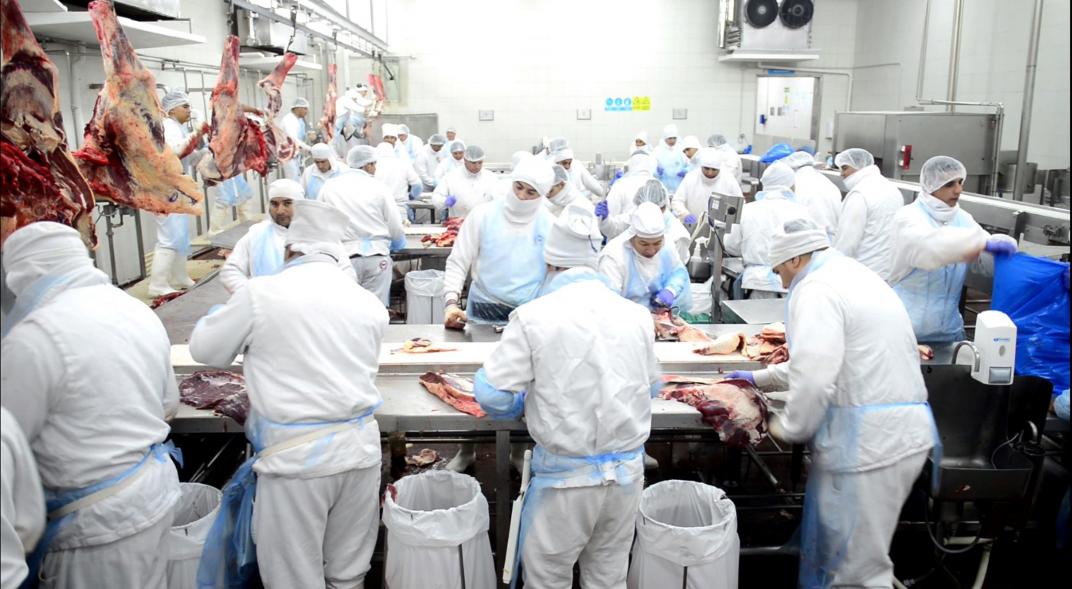 Carne: Logros trabaja a “full” y ya exporta el 70% Carne: Logros trabaja a “full” y ya exporta el 70%