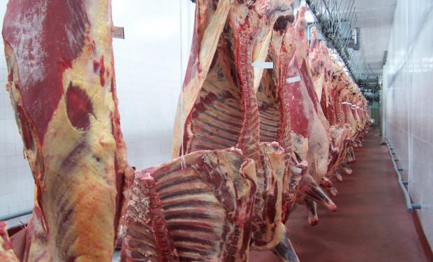 Tras casi una década, Argentina desbancó a Uruguay como segundo exportador regional de carne Tras casi una década, Argentina desbancó a Uruguay como segundo exportador regional de carne