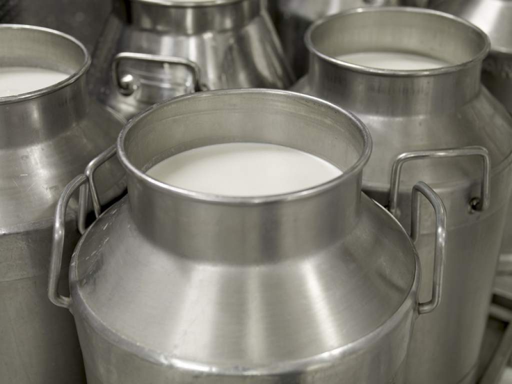 La exportación ajusta sus márgenes y enciende las alarmas en la cadena láctea