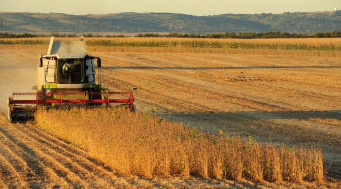 La liquidación de exportaciones de granos y la agroindustria cayó 5,5% en 2018