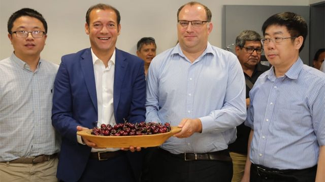 Argentina exportará cerezas a China por primera vez en la historia Argentina exportará cerezas a China por primera vez en la historia