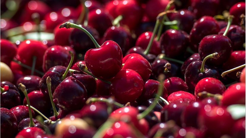 Primera exportación de cerezas frescas argentinas a China