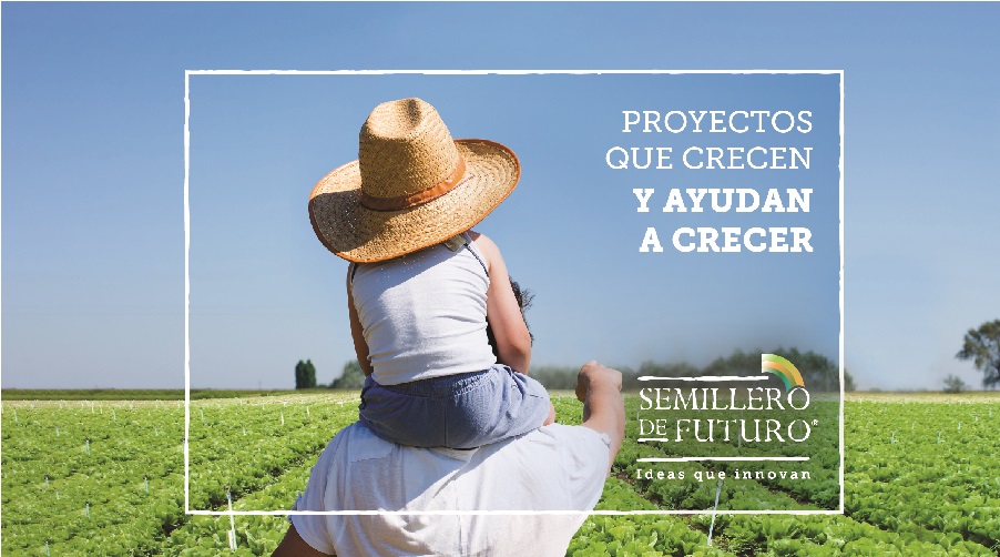 Semillero de Futuro lanza su edición 2019 para apoyar proyectos de alto impacto social