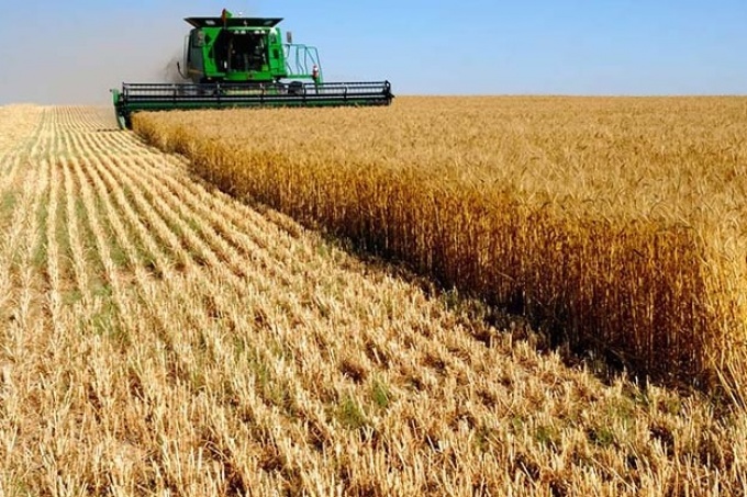 El trigo deja en Córdoba U$S 782 millones
