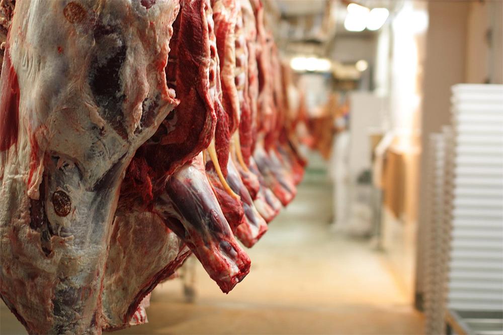 Argentina despachó 11 toneladas de carne bovina con destino a Estados Unidos