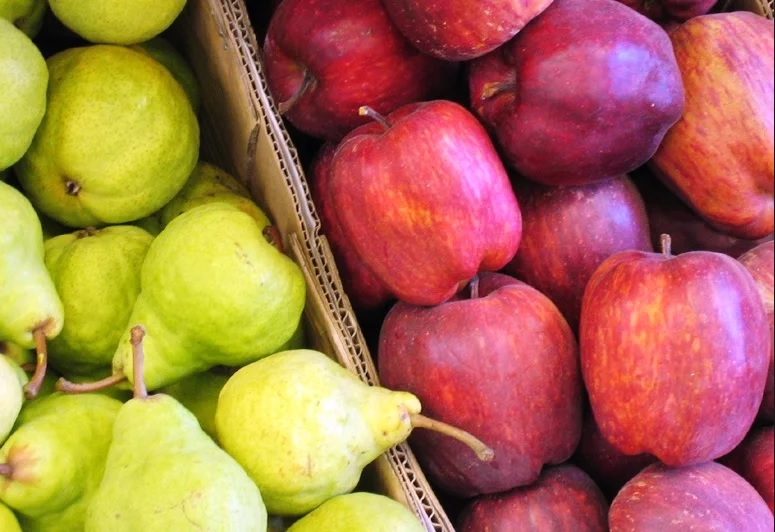 La Argentina trabaja para levantar suspensión de las exportaciones de peras y manzanas a Brasil La Argentina trabaja para levantar suspensión de las exportaciones de peras y manzanas a Brasil