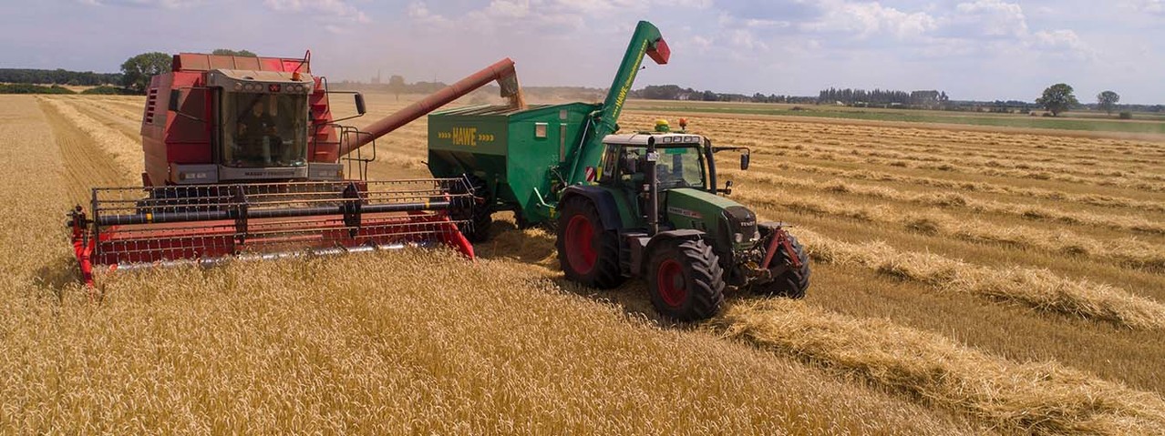 Del campo a la mesa: IBM ayuda a transformar la agricultura y alimentación en Latinoamérica