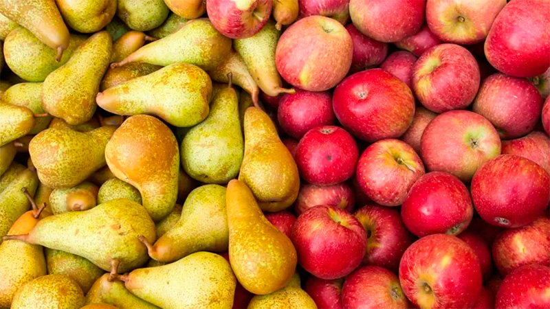 Se reabrieron las fronteras brasileras para la fruta argentina Se reabrieron las fronteras brasileras para la fruta argentina