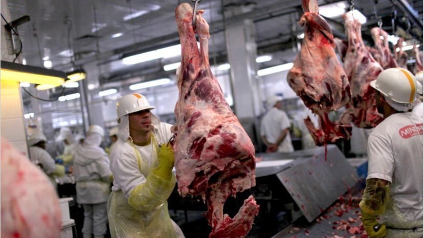 Informe de Faena y producción de carne vacuna Informe de Faena y producción de carne vacuna