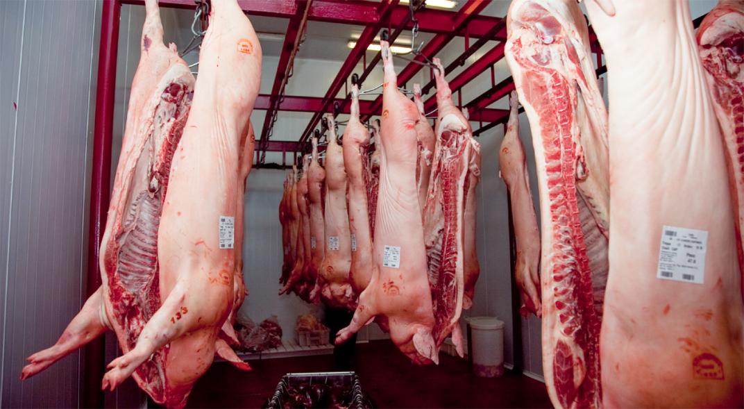 La empresa cordobesa beneficiada con el ingreso de los cerdos argentinos a China