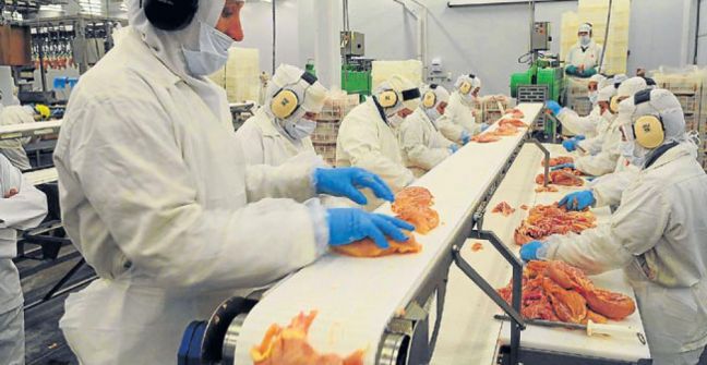 Argentina exportó carne de pollo a Canadá por primera vez Argentina exportó carne de pollo a Canadá por primera vez