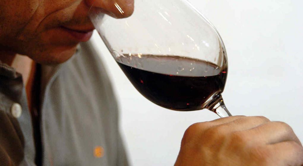 Definen los atributos para que el vino y el maní accedan al sello de calidad “Alimentos Argentinos”