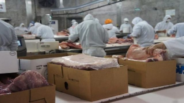 Promueven nuevos negocios de exportación de carne de cerdo argentina a China Promueven nuevos negocios de exportación de carne de cerdo argentina a China