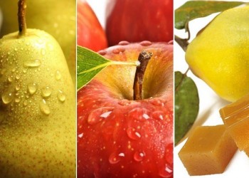 Buscan mejorar el Plan de Trabajo para la exportación de manzana, pera y membrillo a Brasil