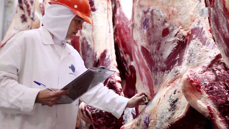 Más beneficios para los dueños de la carne para exportación Más beneficios para los dueños de la carne para exportación