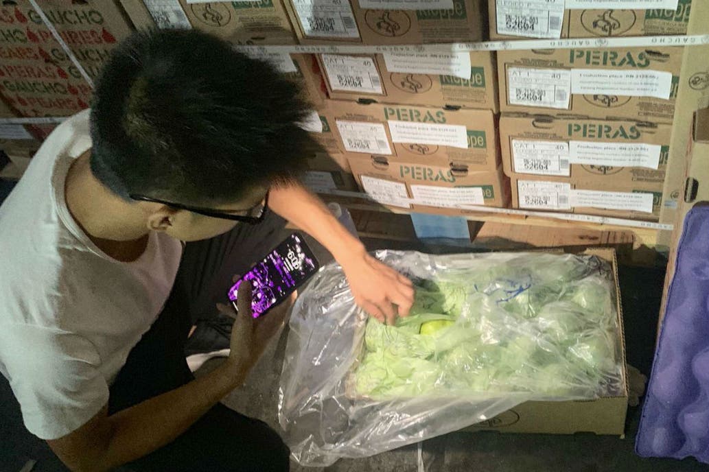 Una firma de Río Negro hizo su primera exportación de peras a China y destacan el potencial de ese mercado Una firma de Río Negro hizo su primera exportación de peras a China y destacan el potencial de ese mercado