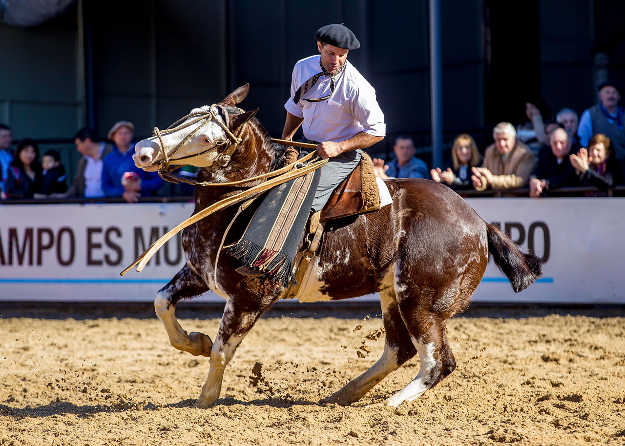 Se presentó la 133º edición de la Exposición Rural