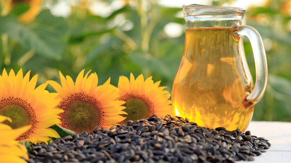 La agroindustria argentina propuso a india incrementar la exportación de aceite de girasol