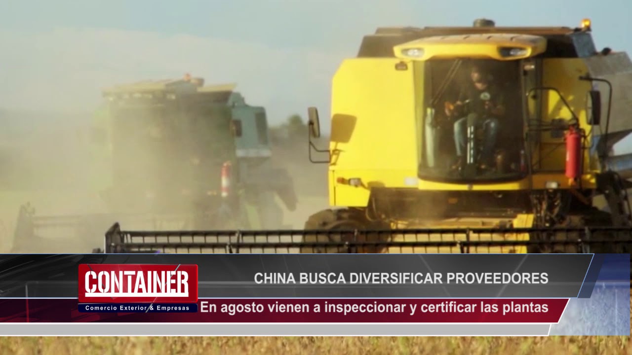 Informe, China busca harina de soja