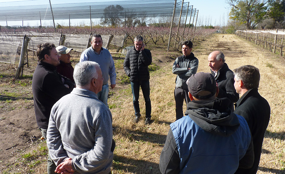 Junto a funcionarios nacionales, Aproduco recorrió las nuevas mallas antigranizo de Colonia Coroya