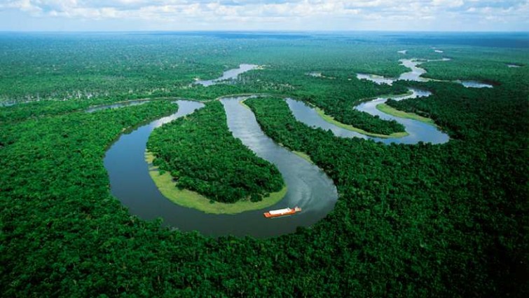 La UE hace foco en la deforestación de cara al acuerdo con el Mercosur La UE hace foco en la deforestación de cara al acuerdo con el Mercosur