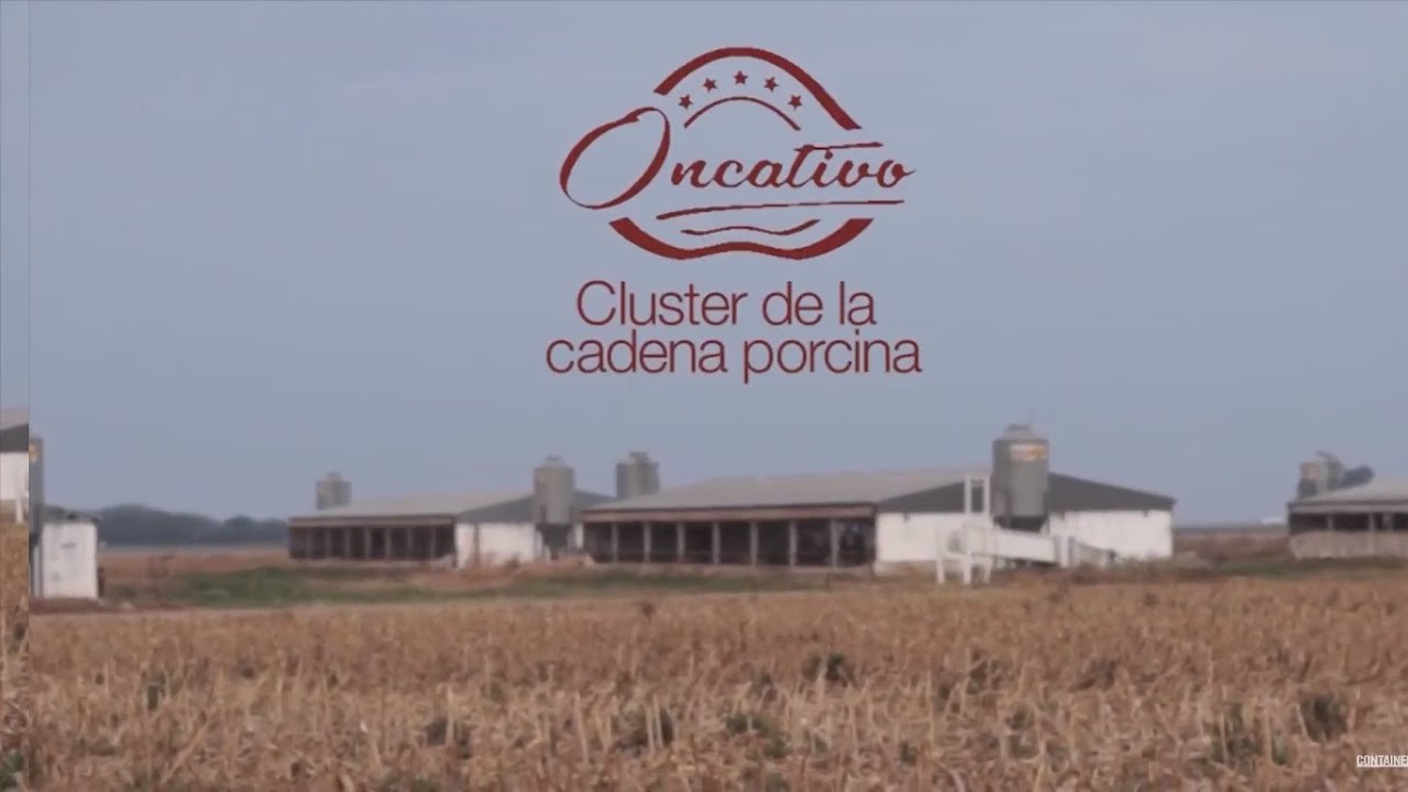 Proyectos del cluster porcino de Oncativo
