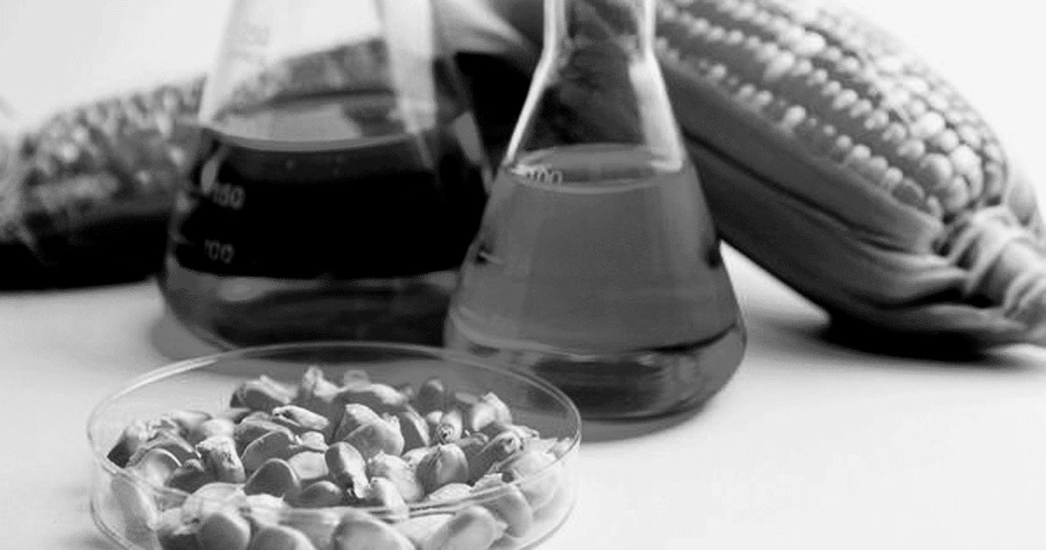 Las empresas de etanol de maíz, en situación de quebranto Las empresas de etanol de maíz, en situación de quebranto