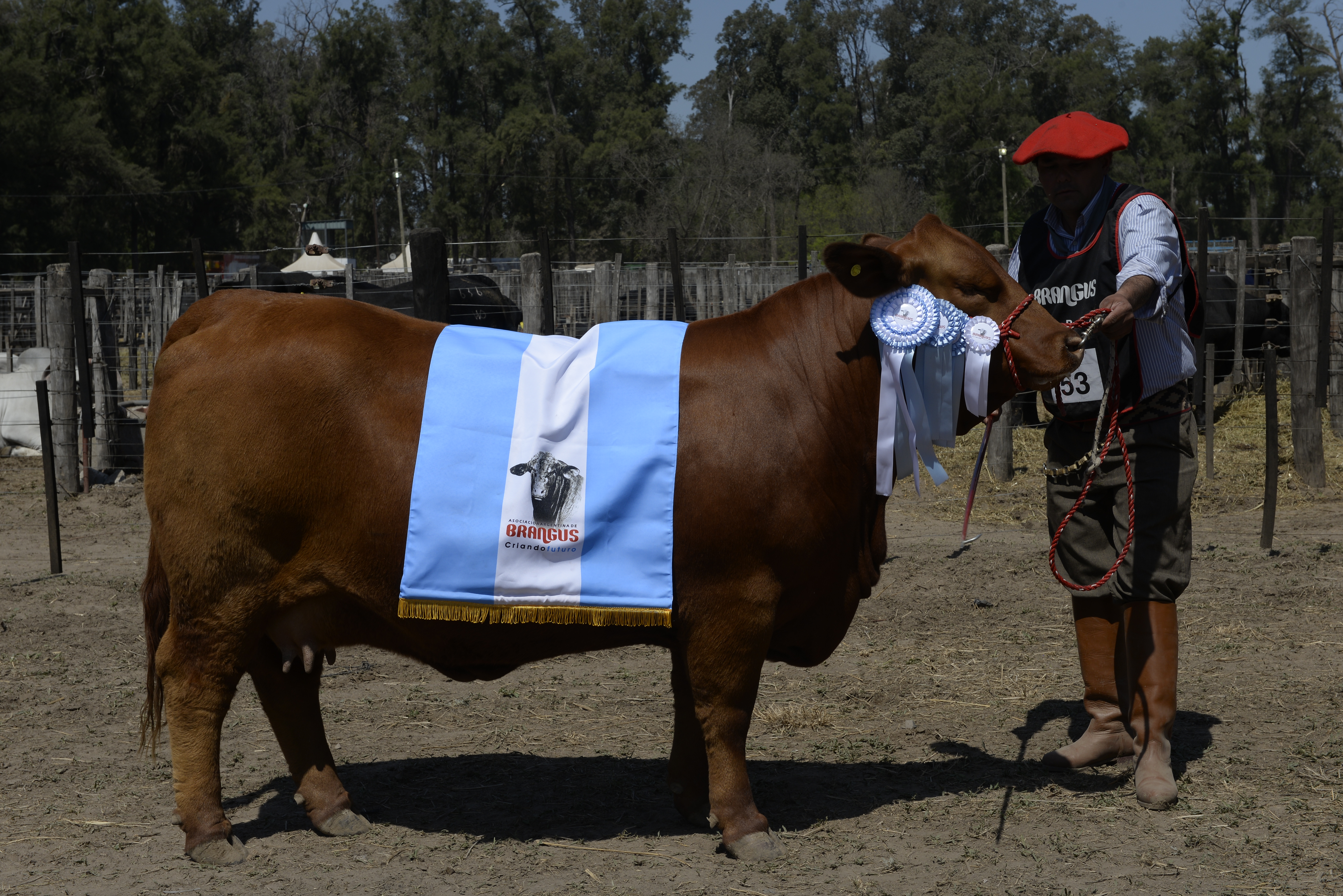 Con las ventas de los Grandes Campeones, cerró la 13° edición de EXPOBRA Con las ventas de los Grandes Campeones, cerró la 13° edición de EXPOBRA