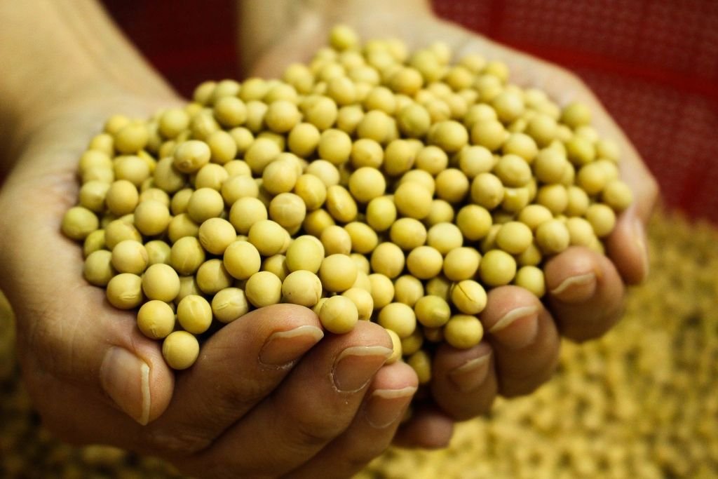 Lanzamiento del Programa Nacional de Carbono Neutro para Alimentos, Bebidas y Bioenergías de Exportación Lanzamiento del Programa Nacional de Carbono Neutro para Alimentos, Bebidas y Bioenergías de Exportación