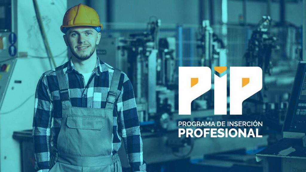 Más de 5.600 egresados buscan su lugar en el PIP Más de 5.600 egresados buscan su lugar en el PIP