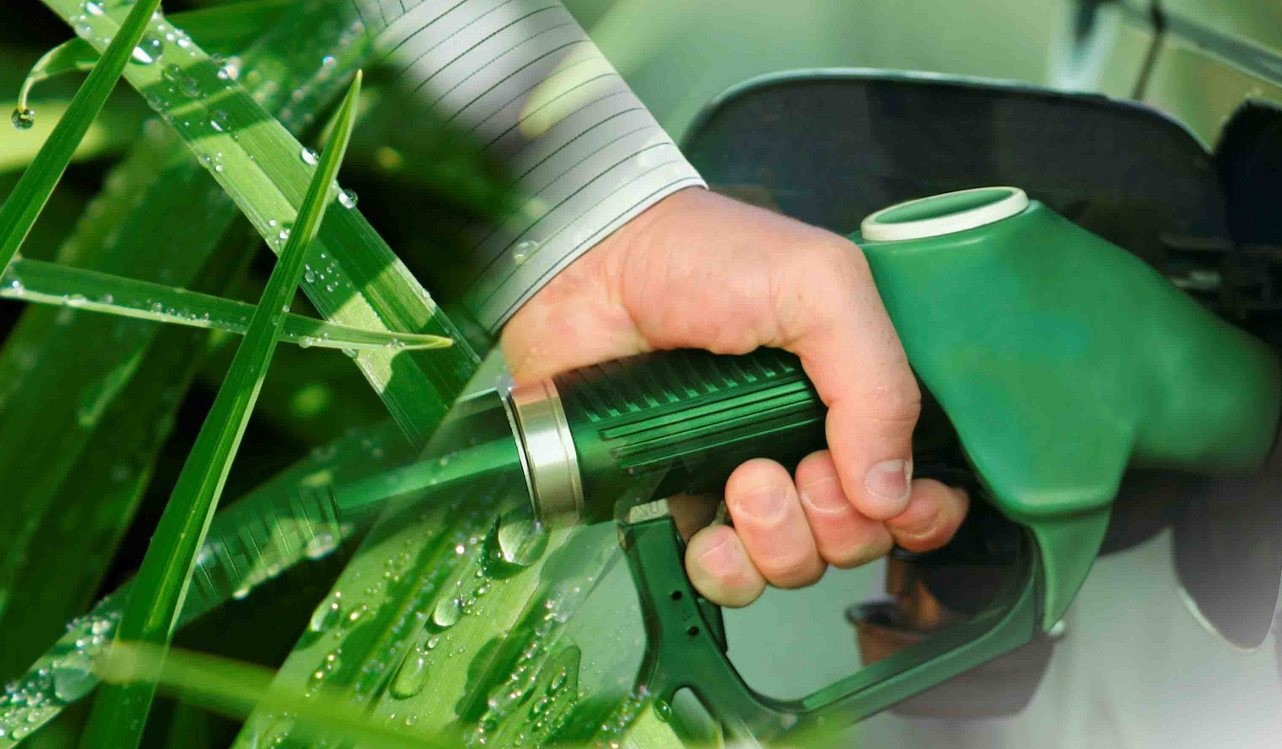 CARBIO apoya el nuevo proyecto de ley de biocombustibles CARBIO apoya el nuevo proyecto de ley de biocombustibles