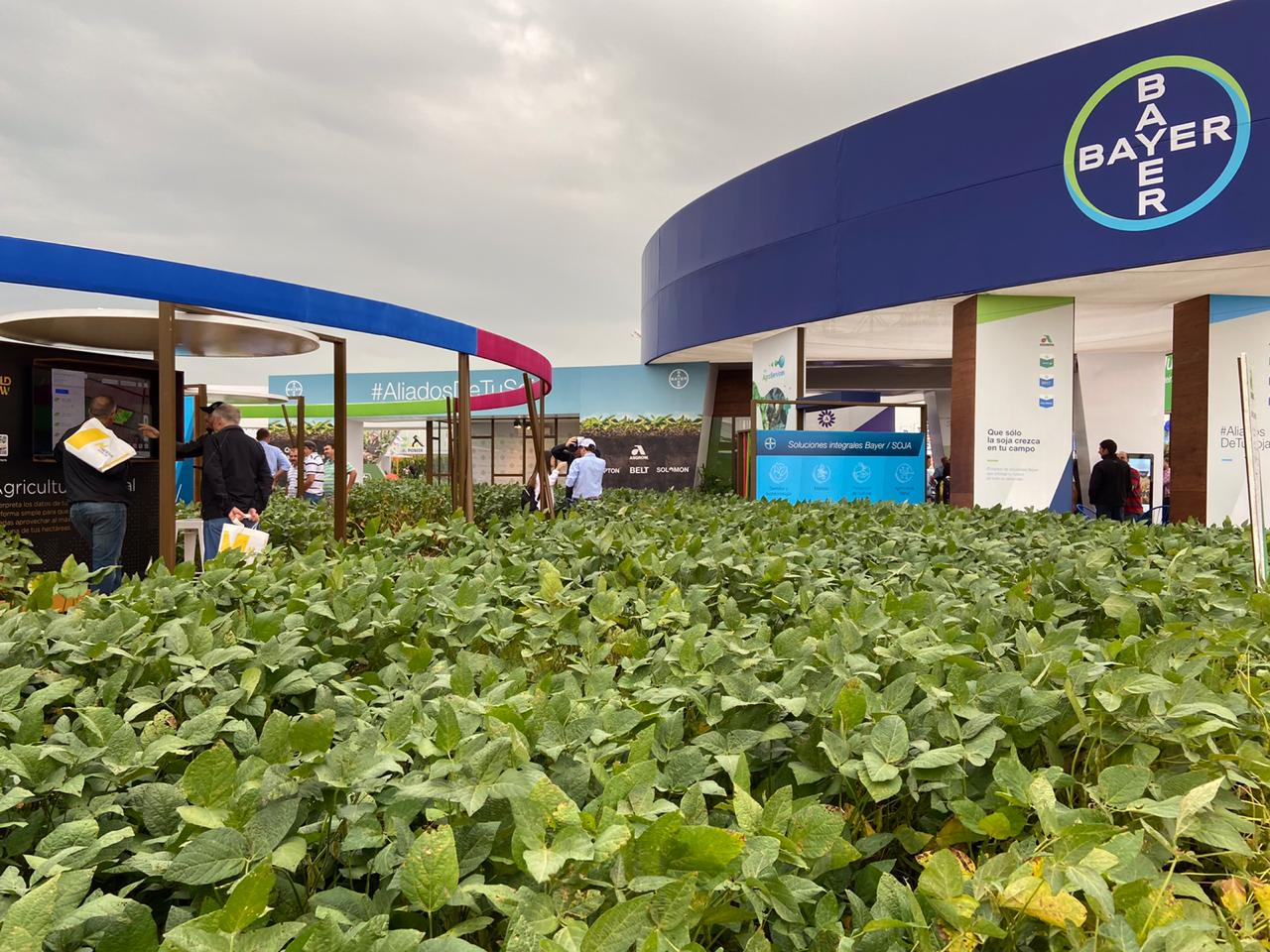 Bayer reafirma su compromiso con la sustentabilidad y las soluciones tecnologicas Bayer reafirma su compromiso con la sustentabilidad y las soluciones tecnologicas