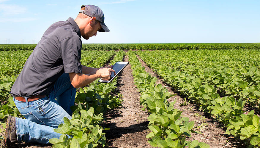 El mundo agro apuesta al comercio online: la oferta aumentó casi un 40% en el mes de enero El mundo agro apuesta al comercio online: la oferta aumentó casi un 40% en el mes de enero