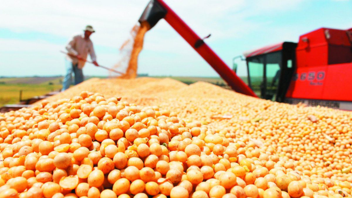 Mejoró en mayo la liquidación de divisas por exportaciones del agro: casi U$S 2.000 millones Mejoró en mayo la liquidación de divisas por exportaciones del agro: casi U$S 2.000 millones