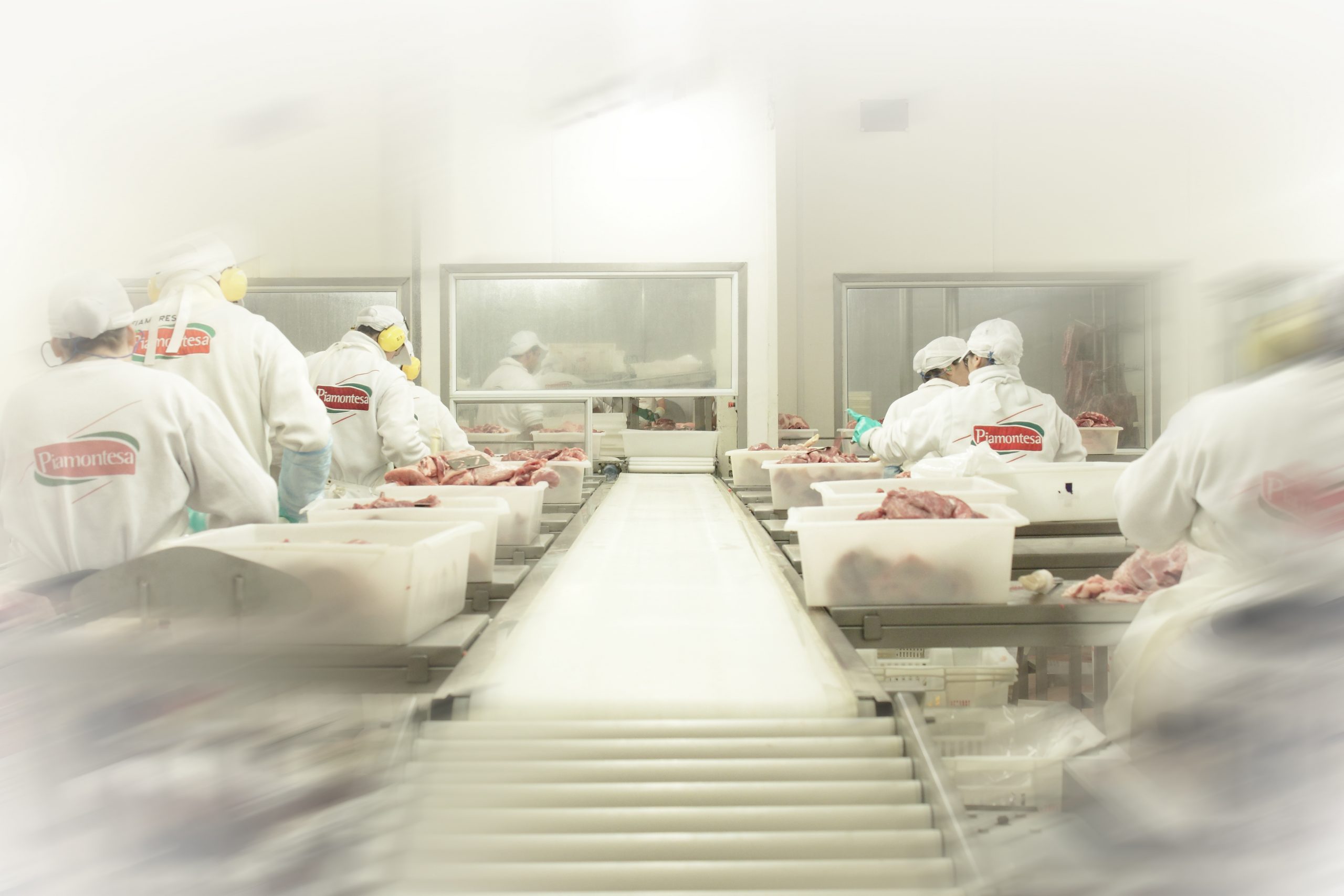 Acuerdo productores-frigoríficos: ya embarcan carne porcina a China