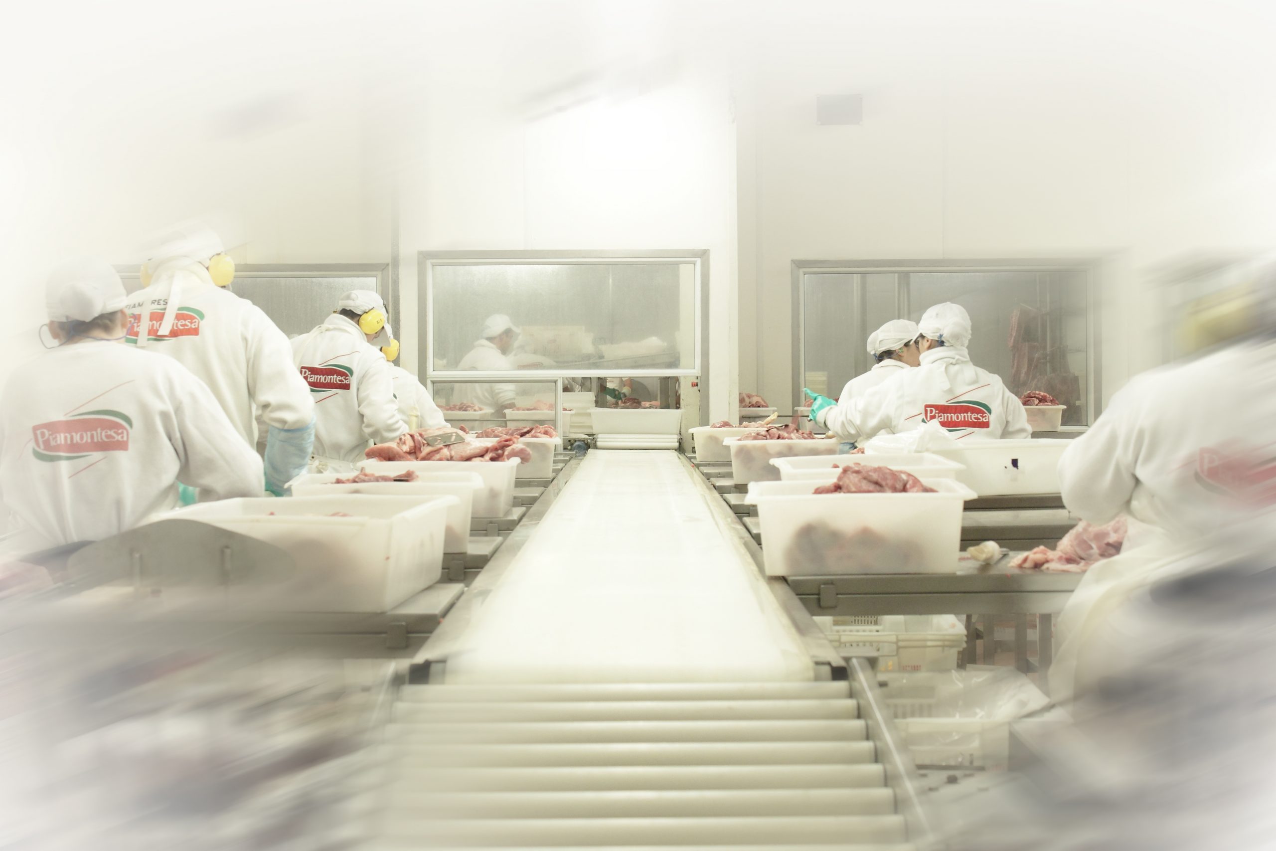 Acuerdo productores-frigoríficos: ya embarcan carne porcina a China Acuerdo productores-frigoríficos: ya embarcan carne porcina a China