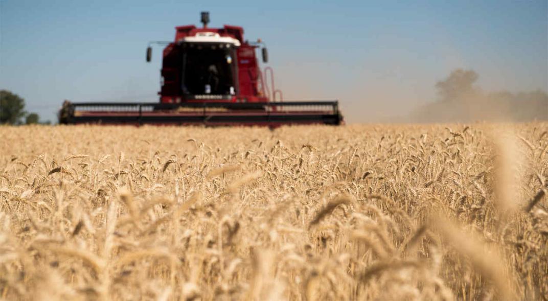 Más divisas del agro en junio: Ingresaron U$S 2.344 millones Más divisas del agro en junio: Ingresaron U$S 2.344 millones
