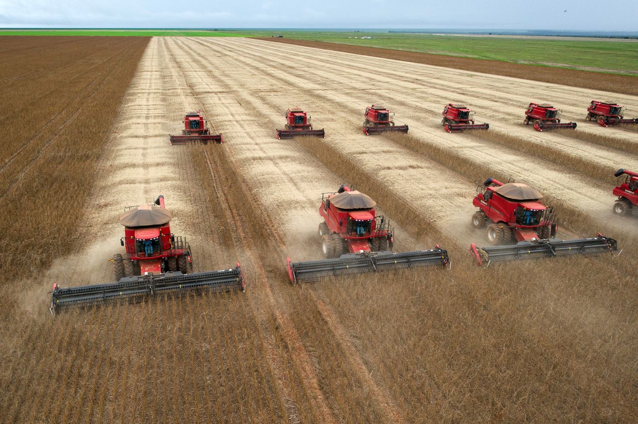 Argentina y Brasil, muy parecidos: la agroindustria, principal exportadora Argentina y Brasil, muy parecidos: la agroindustria, principal exportadora