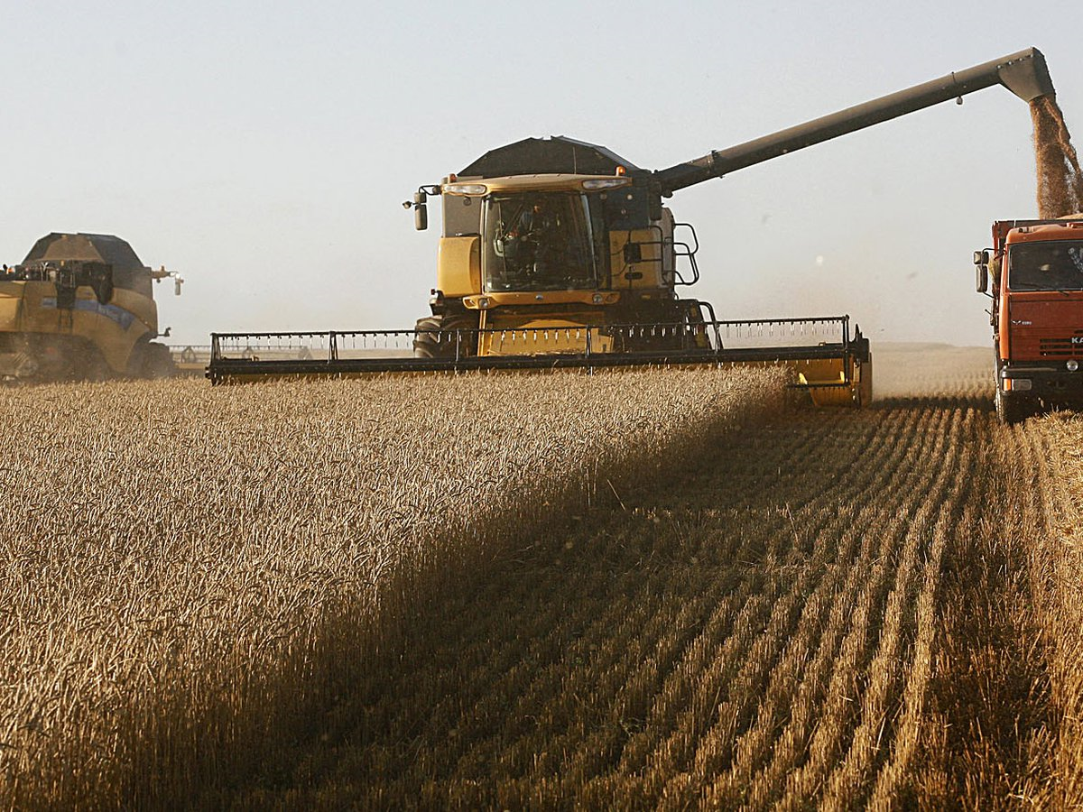 Se liquidaron más de U$S 2.100 millones por exportaciones del agro en enero