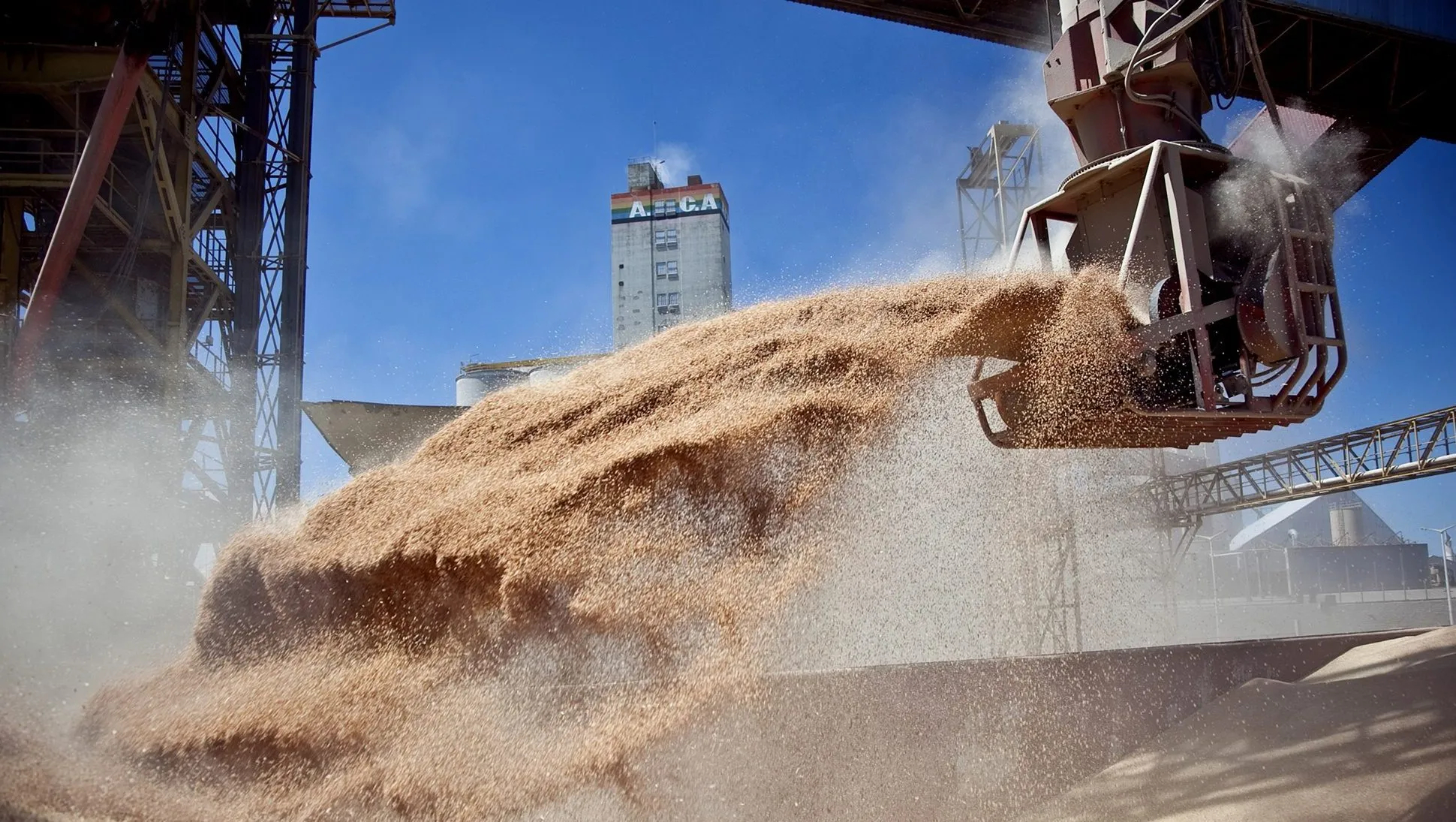 “Boom” de precios: ¿Cuánto liquidarán este año los exportadores del agro? “Boom” de precios: ¿Cuánto liquidarán este año los exportadores del agro?