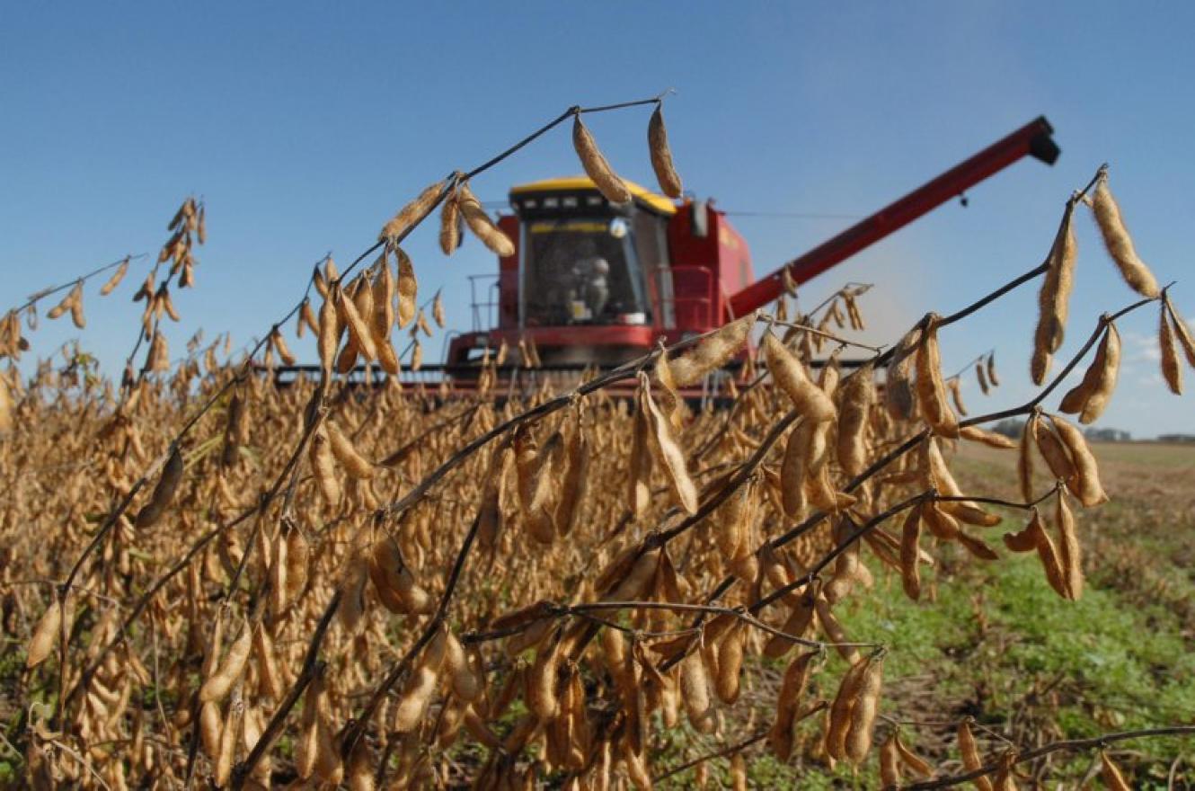 Récord de divisas del agro: ¿Llueve sopa y nosotros con el tenedor? Récord de divisas del agro: ¿Llueve sopa y nosotros con el tenedor?