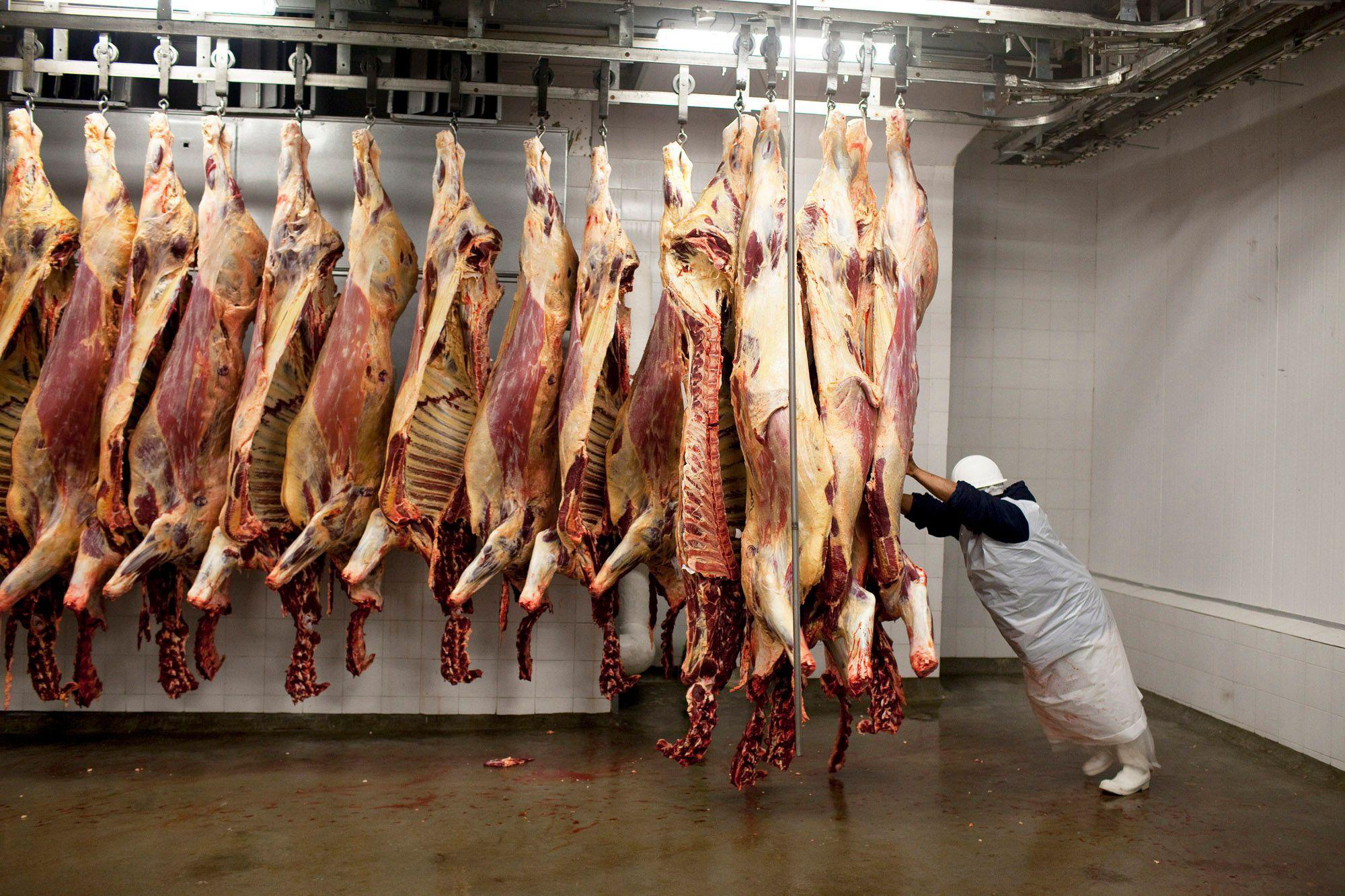 Cepo a la carne: en 10 años se perdieron U$S 30.700 millones en activos ganaderos Cepo a la carne: en 10 años se perdieron U$S 30.700 millones en activos ganaderos
