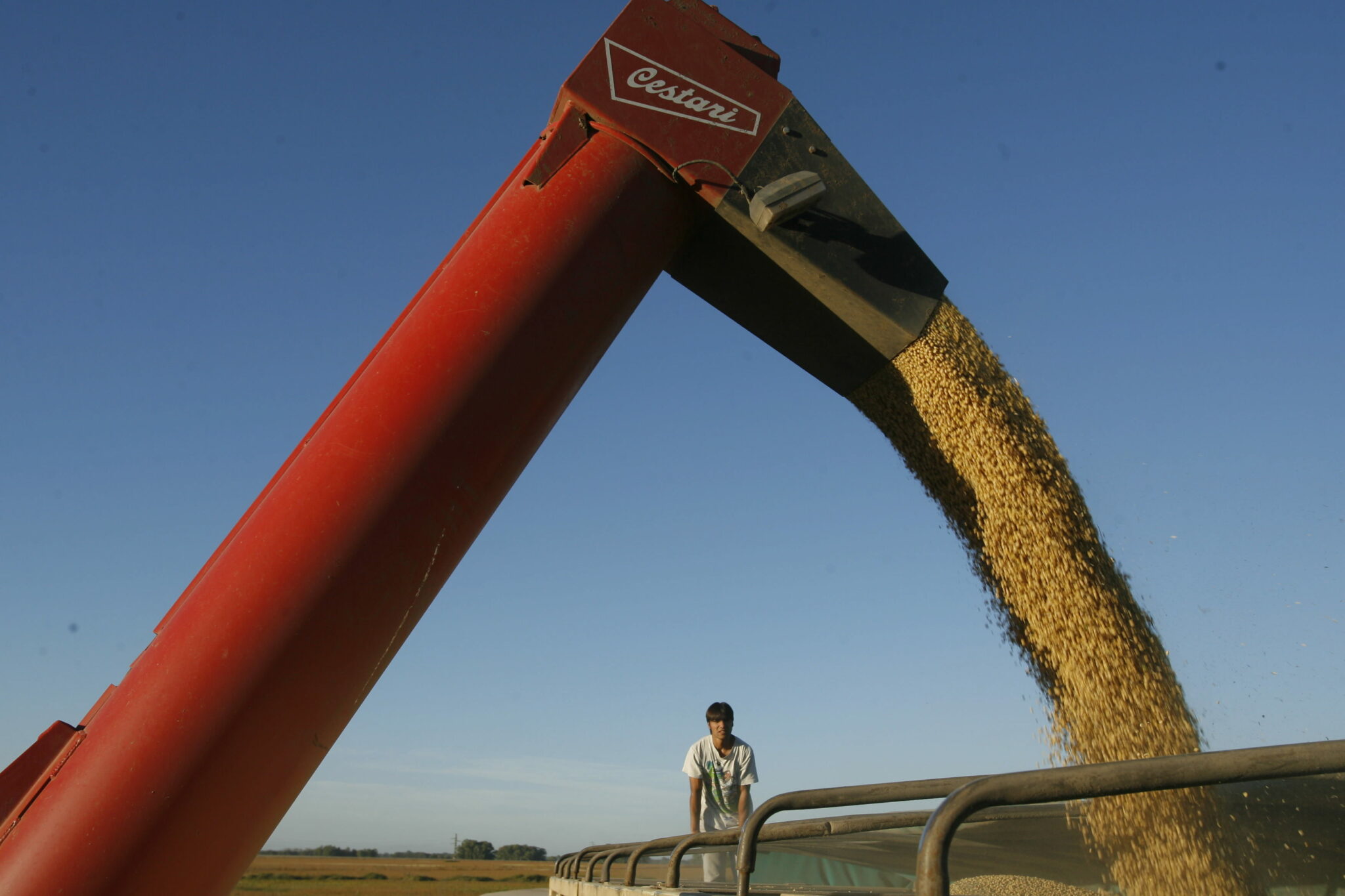 Divisas del agro: en cinco meses ingresaron U$S 13.301 millones Divisas del agro: en cinco meses ingresaron U$S 13.301 millones