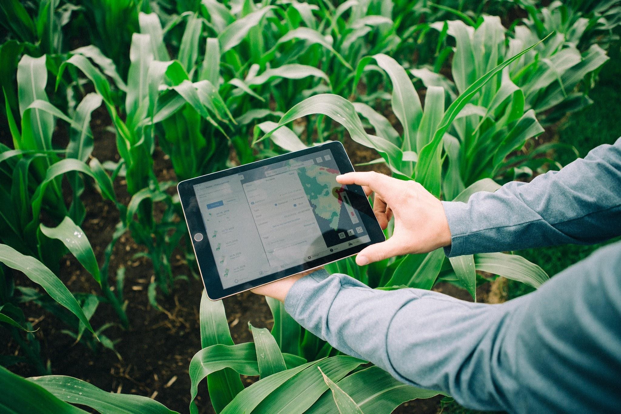 Agricultura digital: ya se gestionan 6 M Ha en Argentina con la tecnología FieldView Agricultura digital: ya se gestionan 6 M Ha en Argentina con la tecnología FieldView