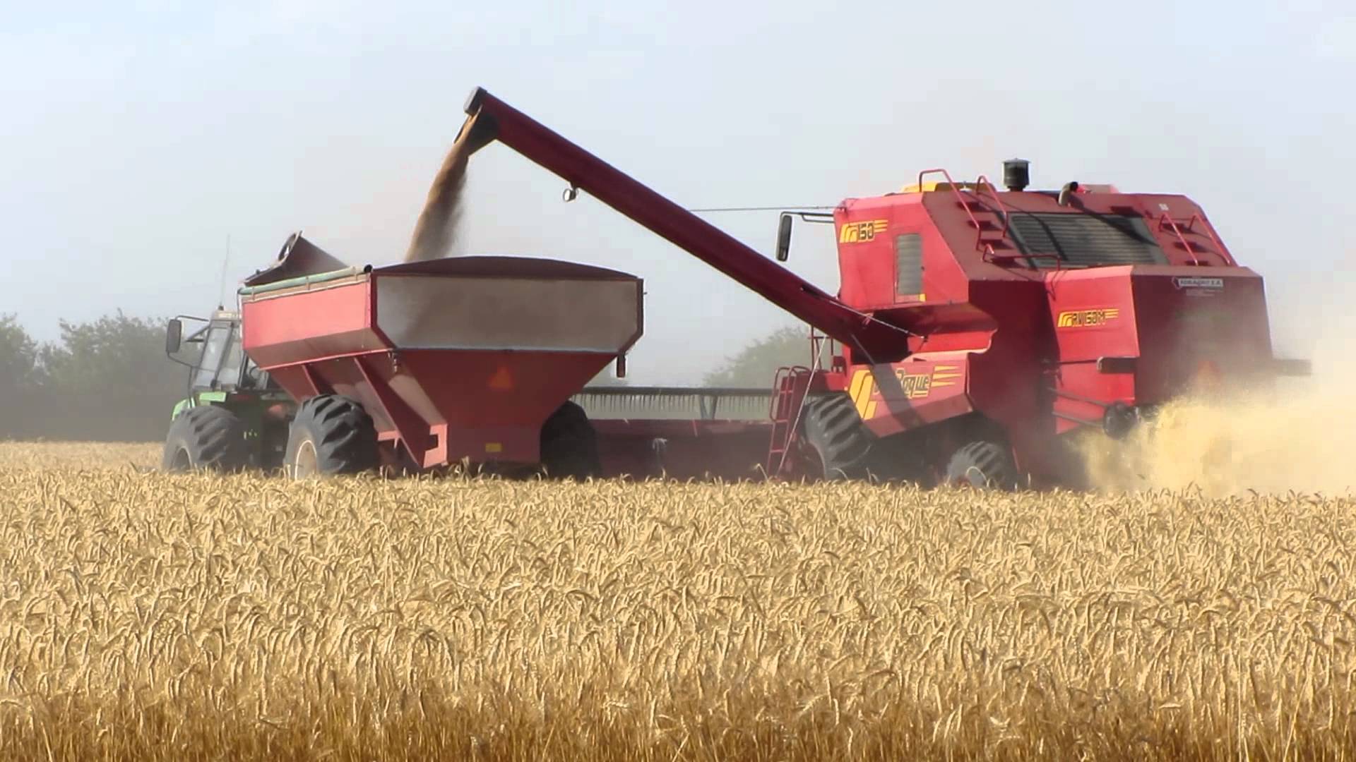 Aranceles a la importación: otro rayo que golpea a las exportaciones del agro