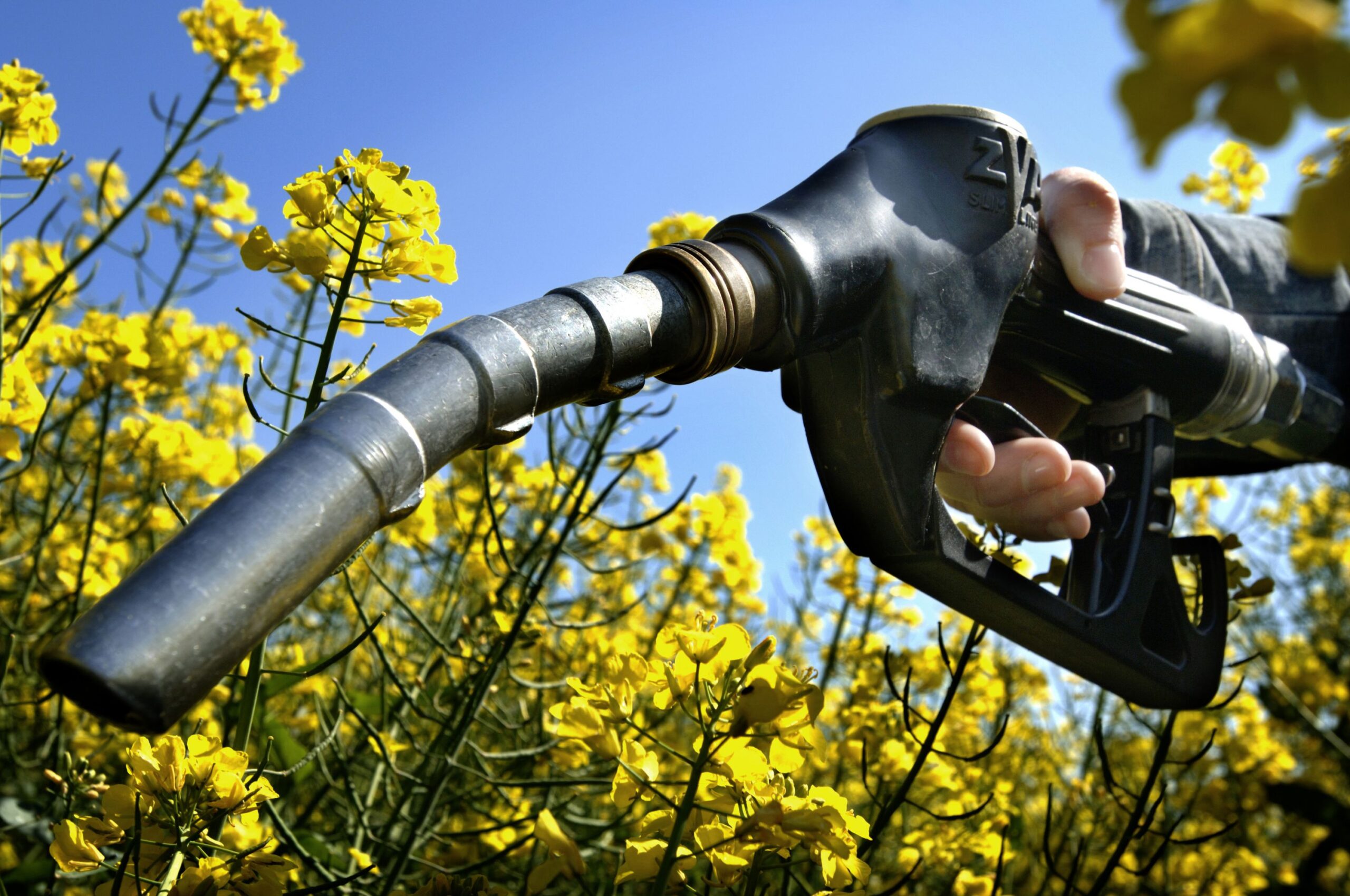 Aumentar el corte con biodiésel, una alternativa para el “desacople” del gasoil