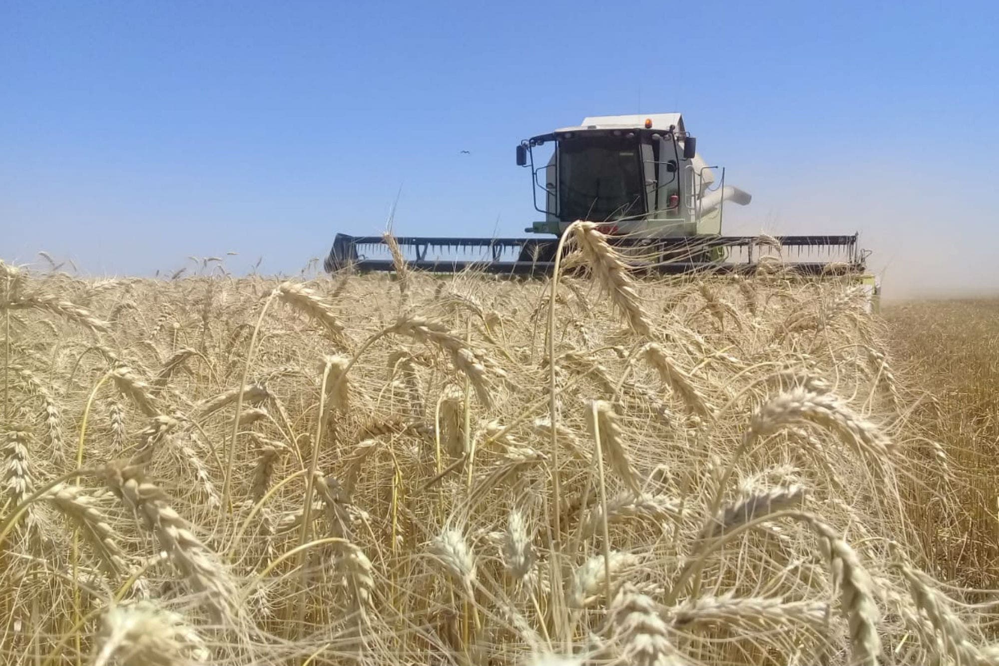Empezamos mal pero vamos bien: se aleja el riesgo de un tercer “año Niña” para el agro