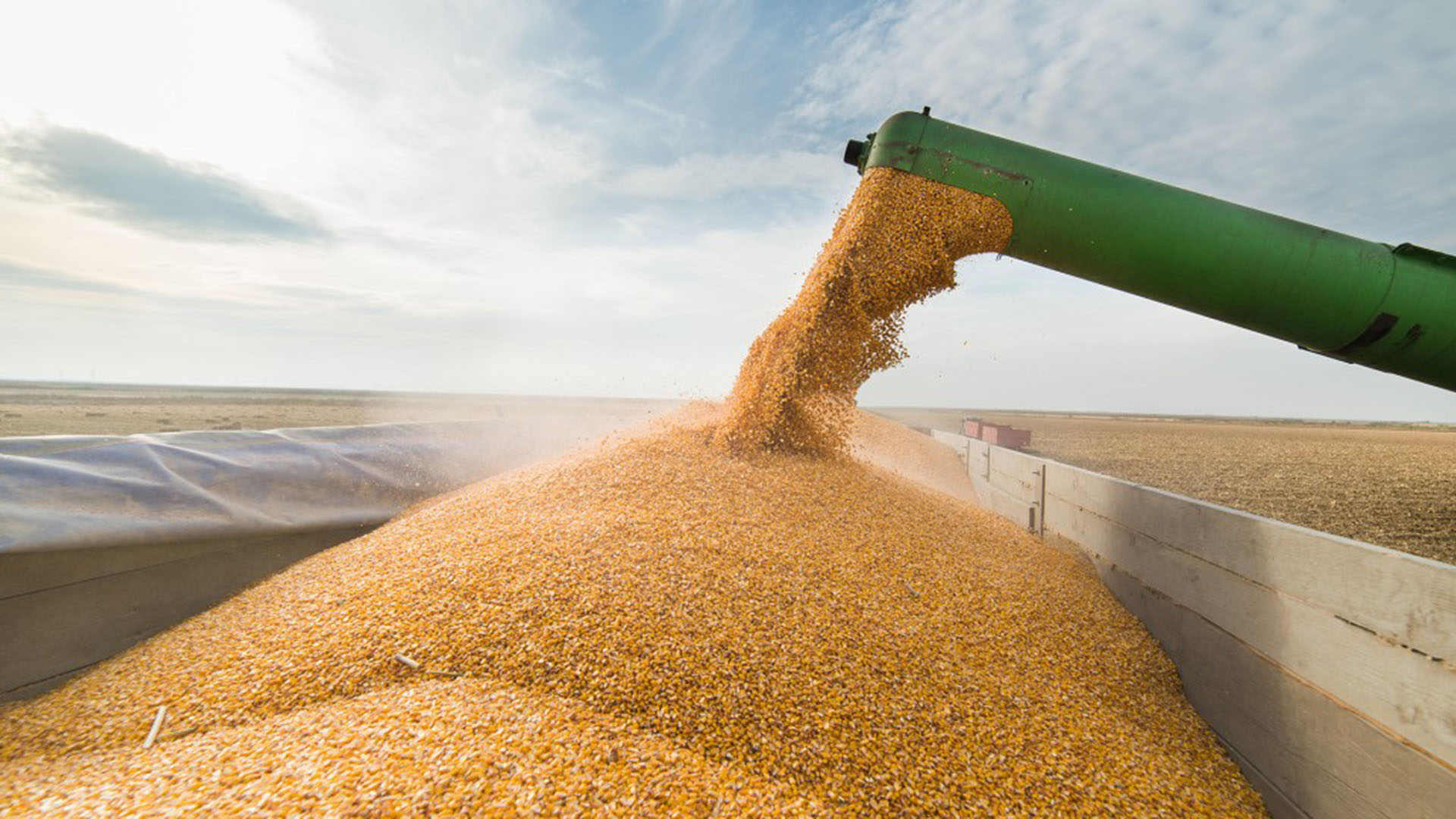 Hay más divisas del campo, pero el costo de producir es 57% mayor en dólares que en 2008 Hay más divisas del campo, pero el costo de producir es 57% mayor en dólares que en 2008