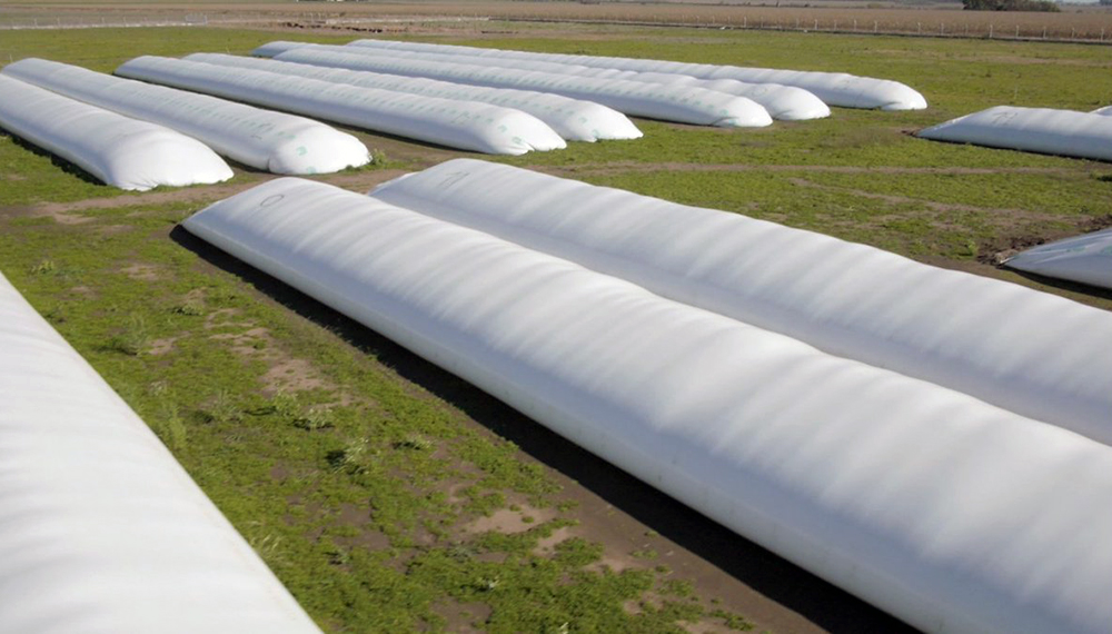 Ahorro e inversión en los silos bolsa: la renta inesperada no es solo del campo Ahorro e inversión en los silos bolsa: la renta inesperada no es solo del campo